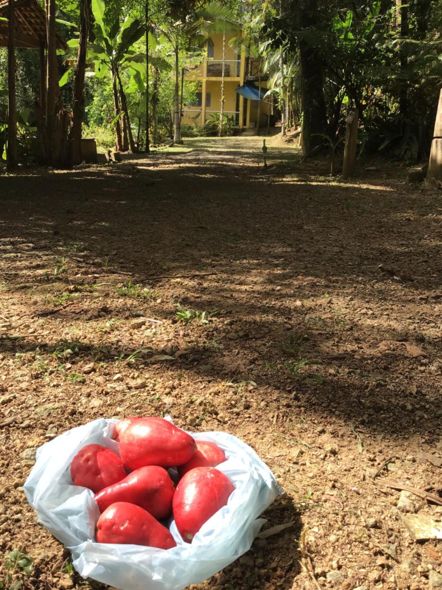 Appartamento Flat Boa Vista Parati Esterno foto
